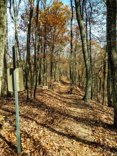 Read Mountain Preserve - Roanoke, VA