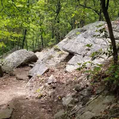 Read Mountain Preserve - Roanoke, VA