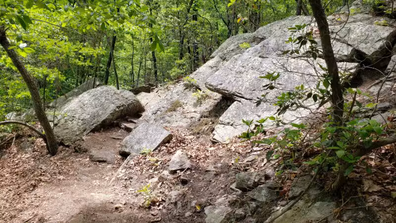 Read Mountain Preserve - Roanoke, VA