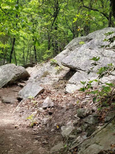 Read Mountain Preserve - Roanoke, VA