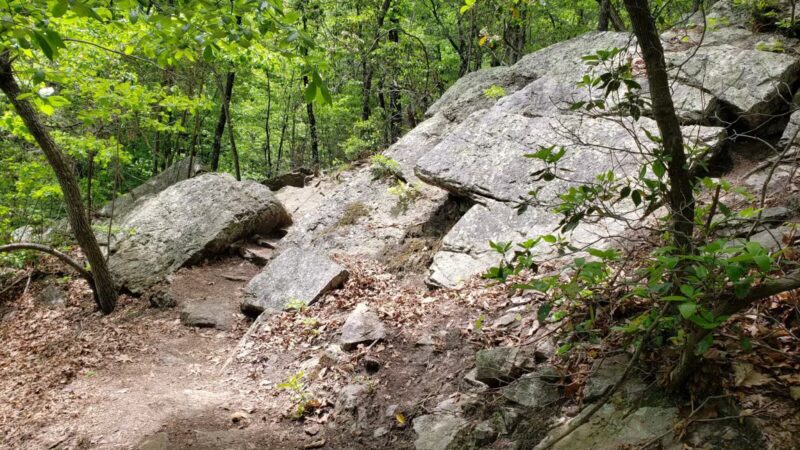 Read Mountain Preserve - Roanoke, VA