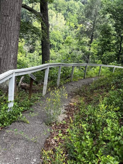 Roanoke River Trail - Roanoke, VA