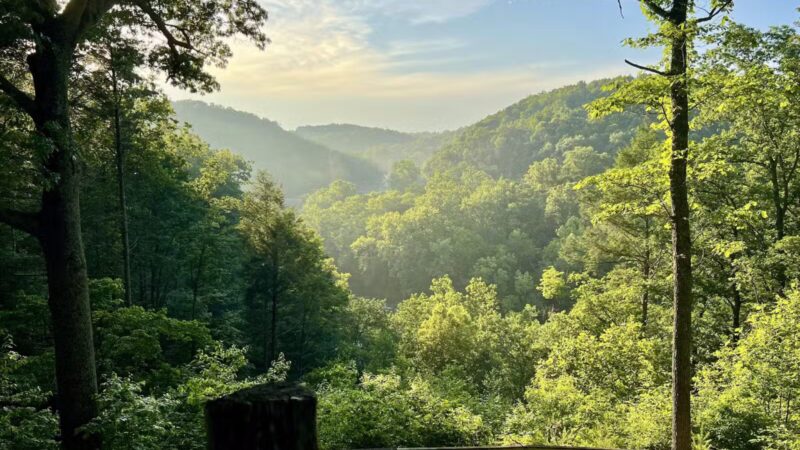 Roanoke River Trail - Roanoke, VA