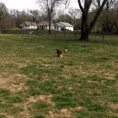 Thrasher Park - Roanoke, VA