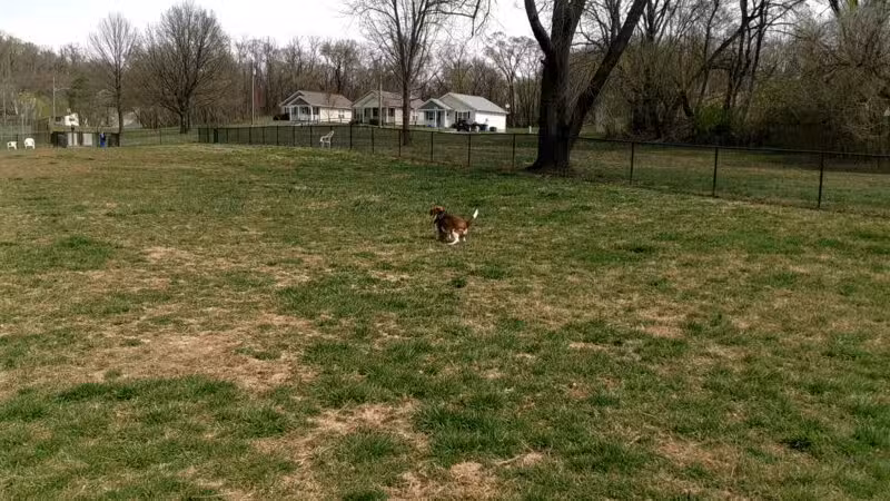 Thrasher Park - Roanoke, VA