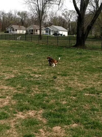 Thrasher Park - Roanoke, VA