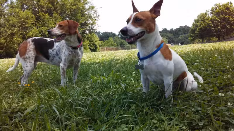 Thrasher Park - Roanoke, VA