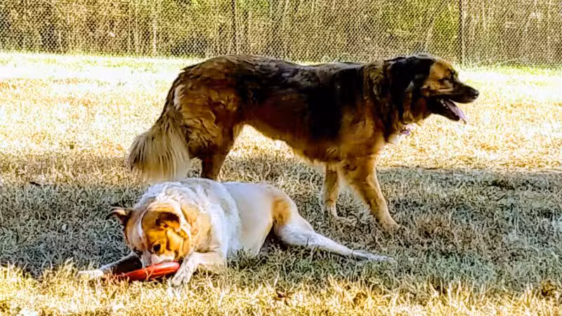 Thrasher Park - Roanoke, VA