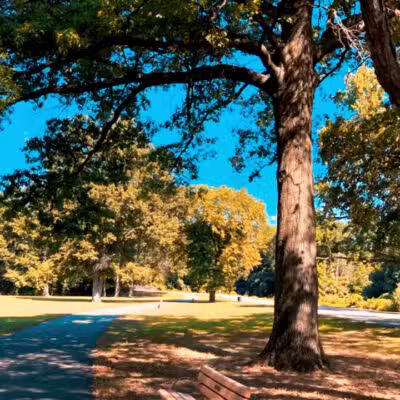 Bergen County Rochelle Park - Rochelle Park, NJ