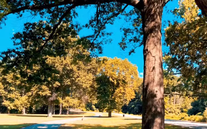 Bergen County Rochelle Park - Rochelle Park, NJ