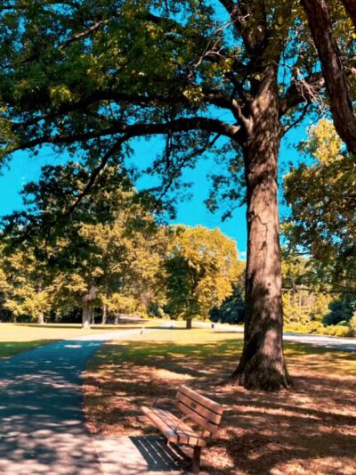 Bergen County Rochelle Park - Rochelle Park, NJ