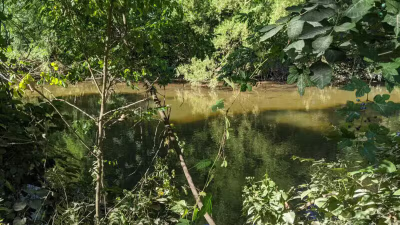 Bergen County Rochelle Park - Rochelle Park, NJ