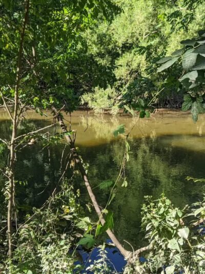 Bergen County Rochelle Park - Rochelle Park, NJ