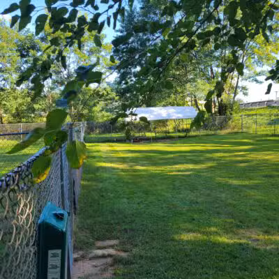 Rochester NH Dog Park (Private, Members-Only with paid membership and license information) - Rochester, NH