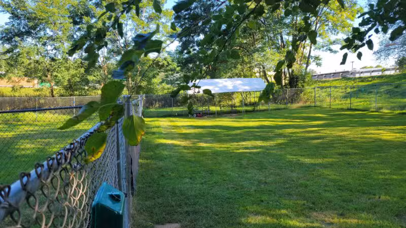 Rochester NH Dog Park (Private, Members-Only with paid membership and license information) - Rochester, NH