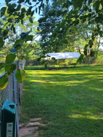 Rochester NH Dog Park (Private, Members-Only with paid membership and license information) - Rochester, NH