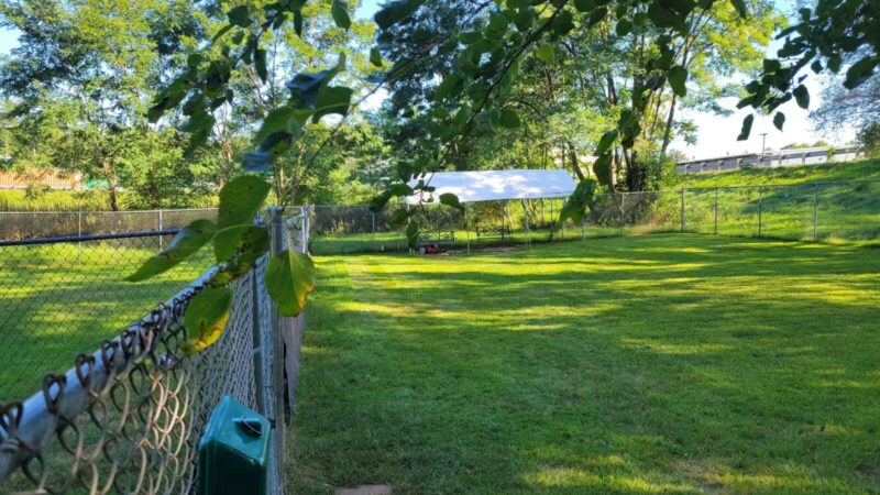 Rochester NH Dog Park (Private, Members-Only with paid membership and license information) - Rochester, NH
