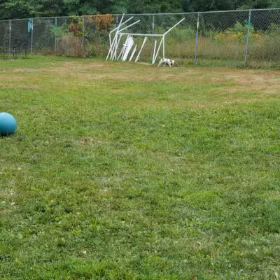 Rochester NH Dog Park (Private, Members-Only with paid membership and license information) - Rochester, NH