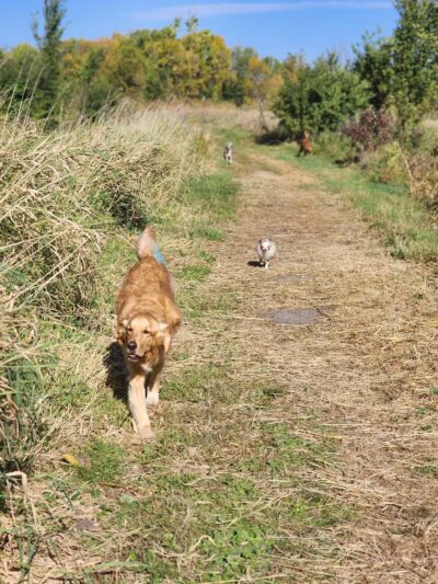 Lake Sarah Regional Park - Rockford, MN