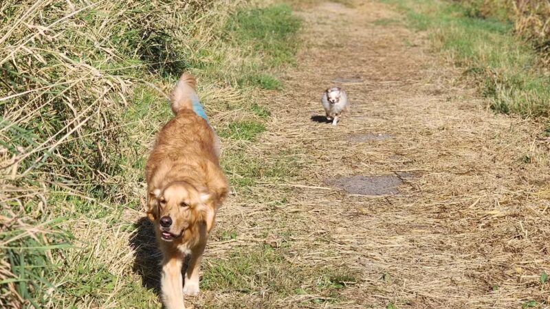 Lake Sarah Regional Park - Rockford, MN