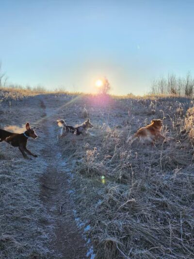 Lake Sarah Regional Park - Rockford, MN
