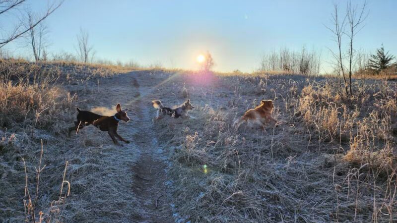 Lake Sarah Regional Park - Rockford, MN
