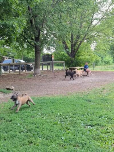 Lake Sarah Regional Park - Rockford, MN