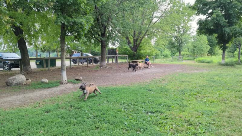 Lake Sarah Regional Park - Rockford, MN