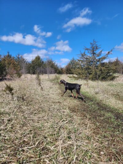 Lake Sarah Regional Park - Rockford, MN
