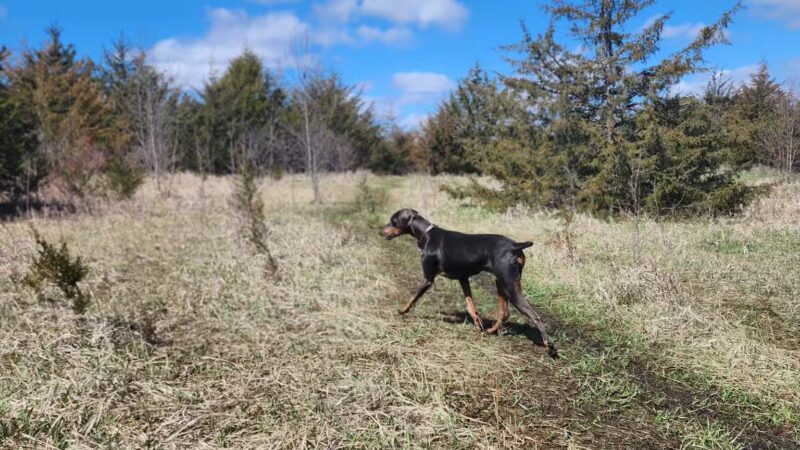 Lake Sarah Regional Park - Rockford, MN