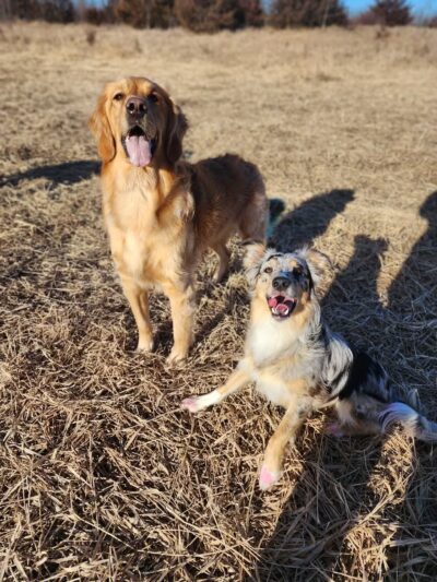 Lake Sarah Regional Park - Rockford, MN