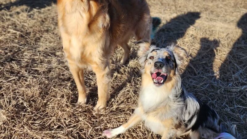 Lake Sarah Regional Park - Rockford, MN