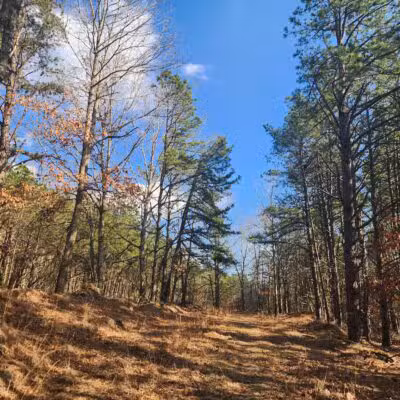 Paumanok Path Trail Head - Rocky Point, NY