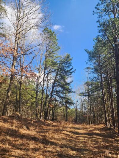 Paumanok Path Trail Head - Rocky Point, NY