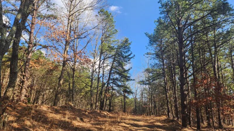 Paumanok Path Trail Head - Rocky Point, NY