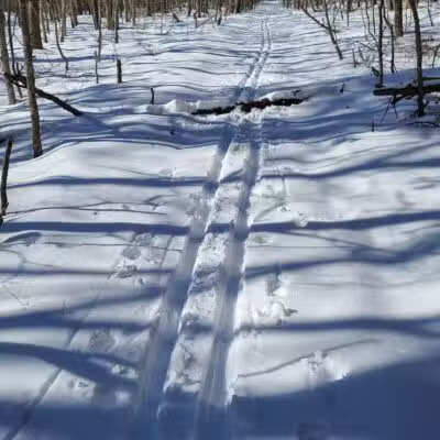 Paumanok Path Trail Head - Rocky Point, NY