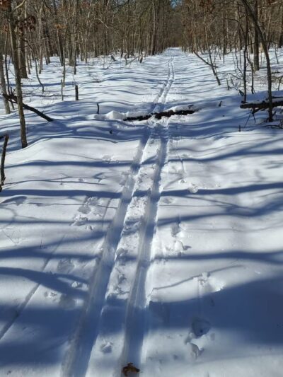 Paumanok Path Trail Head - Rocky Point, NY