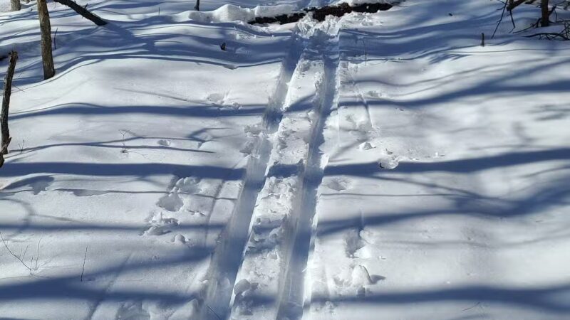 Paumanok Path Trail Head - Rocky Point, NY