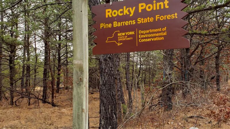 Paumanok Path Trail Head - Rocky Point, NY