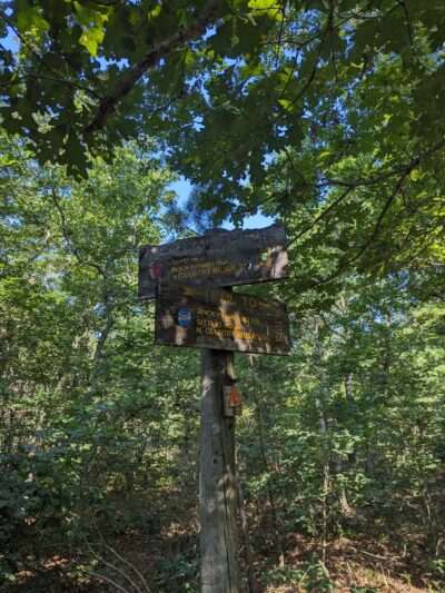 Rocky Point State Pine Barrens Preserve - Rocky Point, NY