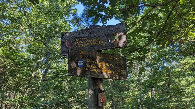 Rocky Point State Pine Barrens Preserve - Rocky Point, NY
