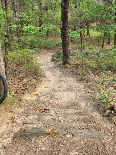 Rocky Point State Pine Barrens Preserve - Rocky Point, NY
