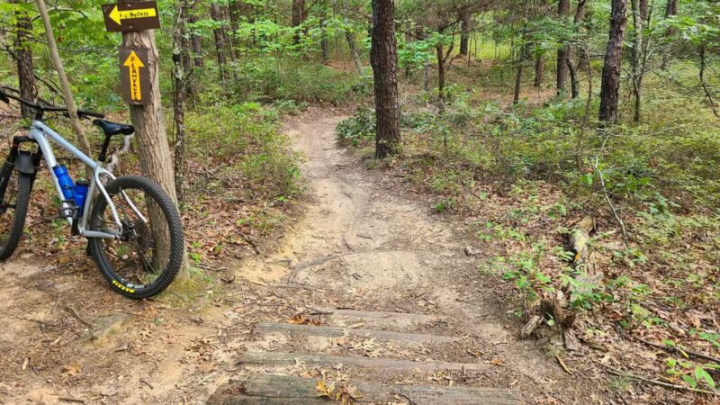 Rocky Point State Pine Barrens Preserve - Rocky Point, NY