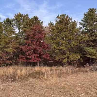 Rocky Point State Pine Barrens Preserve - Rocky Point, NY