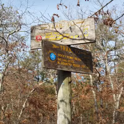 Rocky Point State Pine Barrens Preserve - Rocky Point, NY