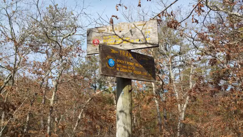 Rocky Point State Pine Barrens Preserve - Rocky Point, NY