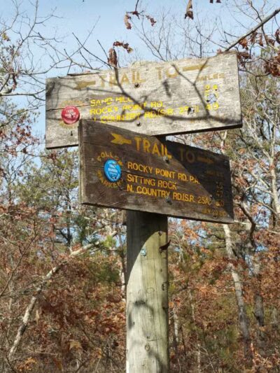 Rocky Point State Pine Barrens Preserve - Rocky Point, NY