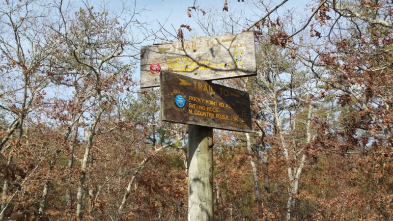 Rocky Point State Pine Barrens Preserve - Rocky Point, NY