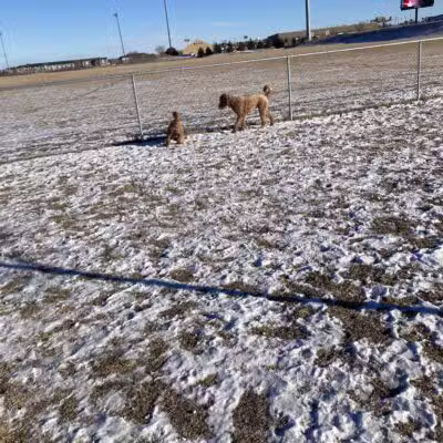 Lynch Dog Park - Rogers, MN