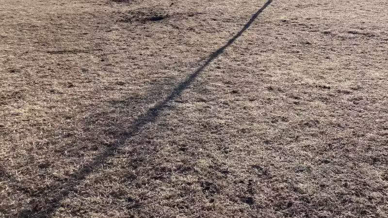 Lynch Dog Park - Rogers, MN